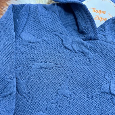 Conj. Casaco Dinos com Capuz e Calça de Moletom - Marinho